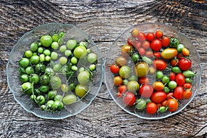 Red and green tomatoes. Let the green tomatoes ripen