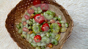 Red and green tomatoes are placed in woven bamboo or besek containers. Small tomatoes. Selective focus.