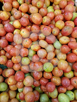 Red and Green Tomatoes