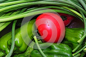 Red and green vegetables photo