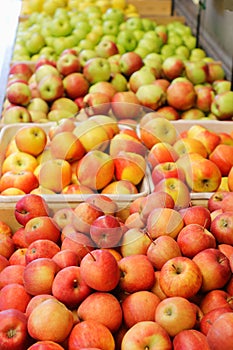 Red green and yellow apples sold in a fruit market stall