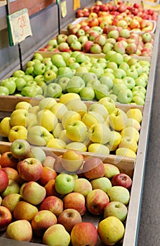 Red green and yellow apples sold in a fruit market stall