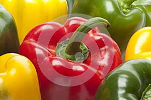 Red,green,yellow bell peppers