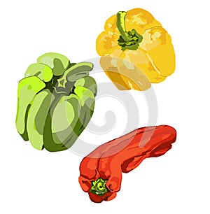 Red, green, yellow pepper, sweet paprika. Set with red, green, yellow pepper. Healthy food, natural product. Cooking plant,