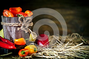 Red, green and yellow sweet bell peppers on the table, close up. Harvest Festival. Autumn background. Selective focus