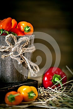 Red, green and yellow sweet bell peppers on the table, close up. Harvest Festival. Autumn background. Selective focus