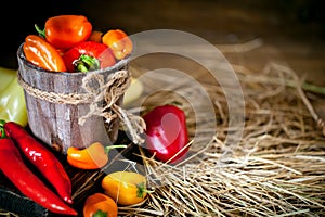 Red, green and yellow sweet bell peppers on the table, close up. Harvest Festival. Autumn background. Selective focus