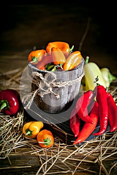 Red, green and yellow sweet bell peppers on the table, close up. Harvest Festival. Autumn background. Selective focus