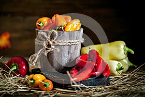 Red, green and yellow sweet bell peppers on the table, close up. Harvest Festival. Autumn background. Selective focus