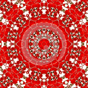 Red grenadine kaleidoscope, circular ornament, mandala