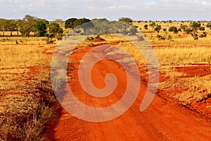 Red ground dusty safari road