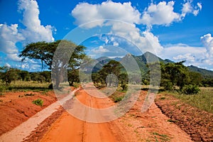 Red ground road, bush with savanna. Tsavo West, Kenya, Africa