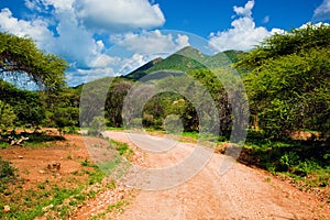 Red ground road and savanna. Tsavo West, Kenya, Africa