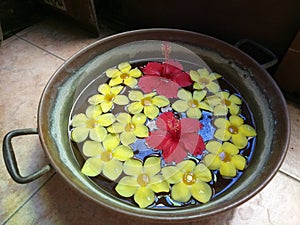 Red Gumamela and Yellow Calachuchi Flowers