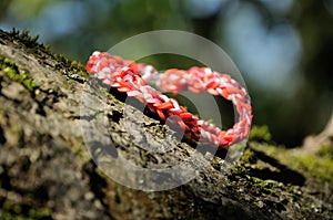 Red gummy bracelet