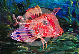 The Red gurnard on seabed in the grass