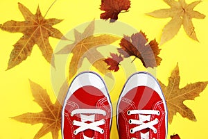 Red gym shoes sneakers with white laces on a yellow background with orange autumn leaves