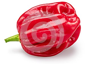Red habanero pepper on white background. File contains clipping path photo