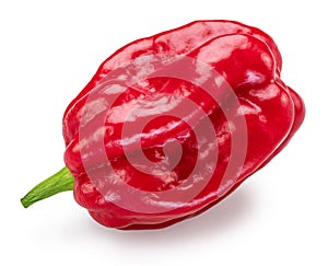 Red habanero pepper on white background. File contains clipping path photo