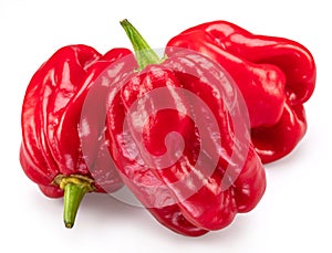 Red habanero peppers isolated on white background