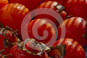 Red Hachiya persimmon fruit close up photo