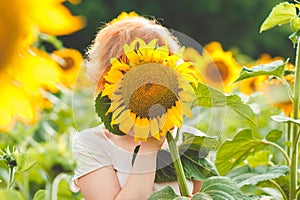 red-haired girl covered her face with a sunflower, girl incognito enjoying nature on the field of sunflowers at sunset