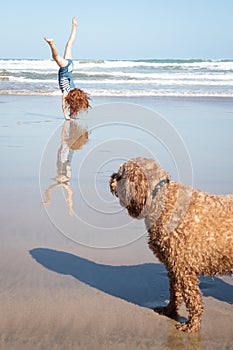 Red haired girl doing a hand stand or cartwheel on a New Zealand surf beach with dog in foreground
