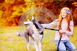 Red-haired girl in jeans plays with a dog of the breed of husky. Autumn walk with a dog