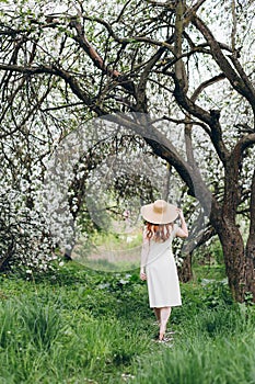 Red-haired girl walks in a spring blooming apple orchard