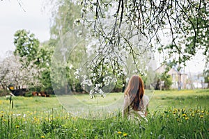 Red-haired girl walks in a spring blooming apple orchard