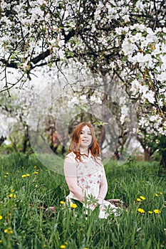 Red-haired girl walks in a spring blooming apple orchard