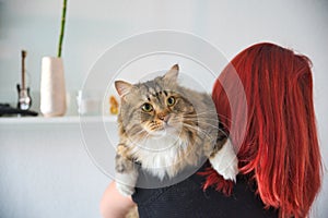 Red haired woman holding her siber cat