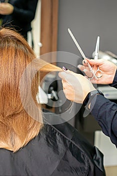 Red-haired woman sitting a front of the mirror and receiving haircut her red long hair by a female hairdresser in a hair