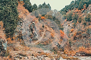 Red-haired woman walks along a mountain path.