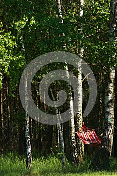 Red hammock in green forest