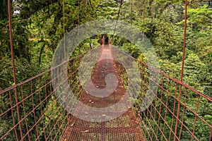 Red hanging bridge in the cloud forest