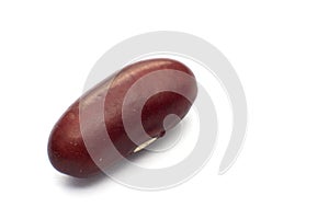 Red haricot bean isolated