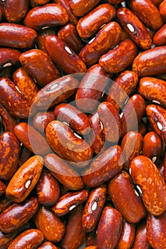 Red haricot beans