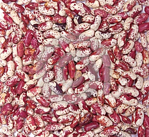 Red haricot beans background