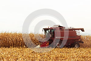 Red harvester working on corn field