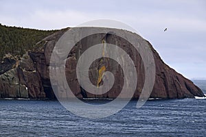Red Head Rock near Flatrock, Avalon region Newfoundland
