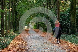 Una donna un cavallo sul cavallo foresta sentiero autunno 