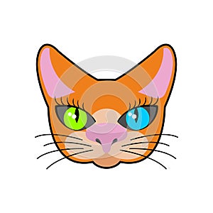 Red-headed cat face isolated. Pet on green background