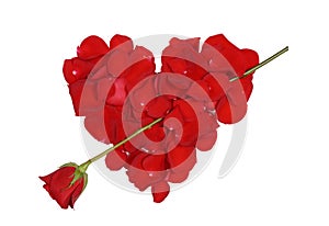 Red heart with arrow from rose