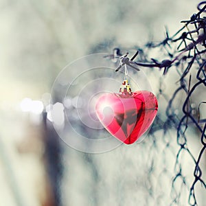 Red heart, barbed wire and metal gauze.