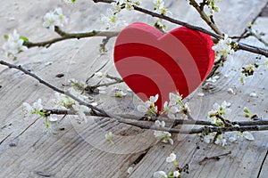 Red heart with flower branch, love symbol for valentine's day