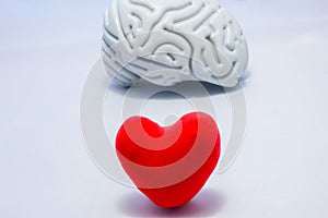 Red heart in foreground of photo and anatomical shape of brain in background. Concept or idea photo selection priority authority i