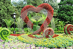 Red heart in a garden photo