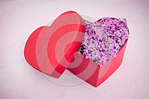 Red heart gift box with lilac flowers