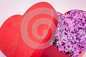 Red heart gift box with lilac flowers